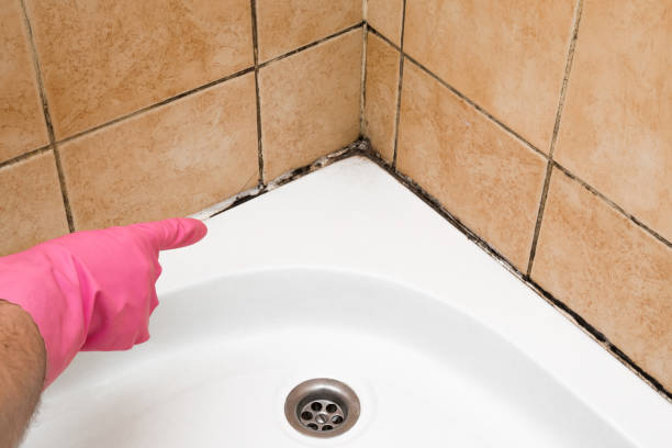 Best Emergency Mold Removal  in Volga, SD